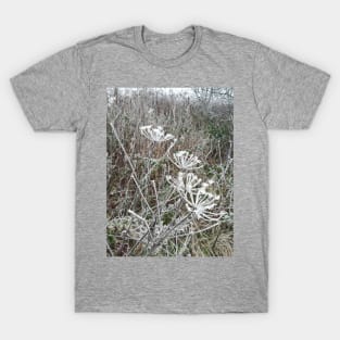 Frosted cow parsley T-Shirt